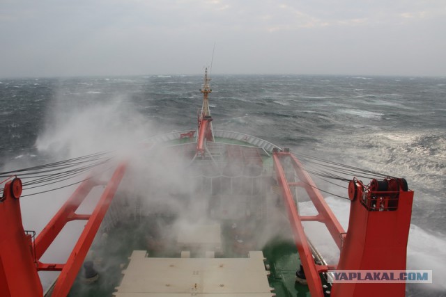 Морская романтика