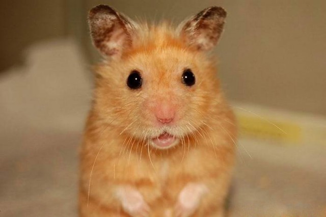 Электронная сигарета, матчасть и выбор