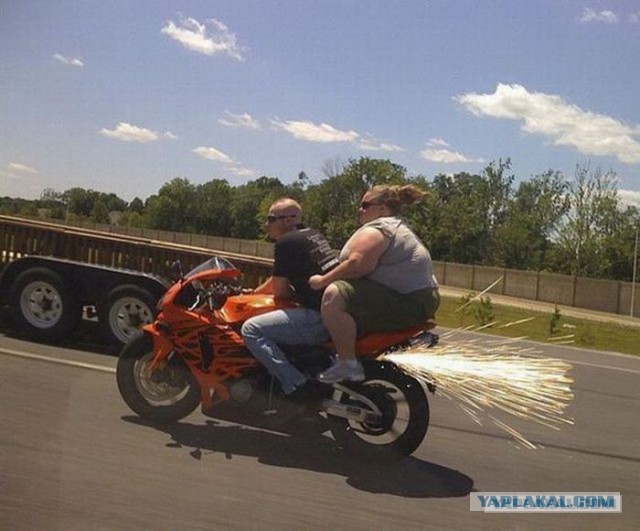 Подборка интересных и веселых фото