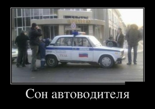 Прикольные и веселые картинки