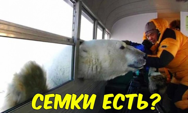 Всячина. Картинки и тексты картинками.