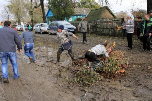 Подборка безудержного веселья