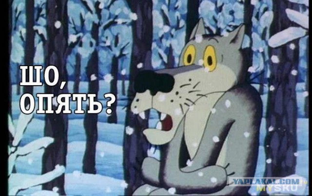 В петербургский мост с надписью «Газель» не проедет» врезалась уже 16-я «Газель»