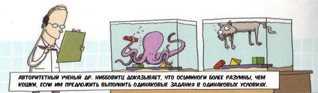 Нестандартный юмор