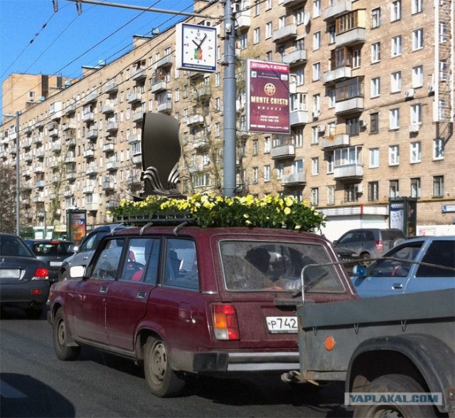 Если у вас нету дачи