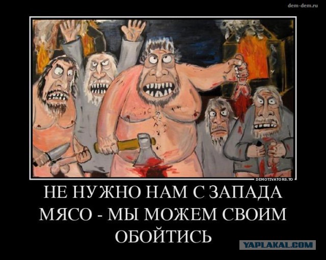 ИЛ-2 летит после боя домой...