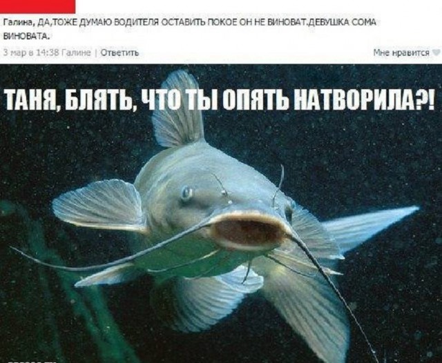 Смешные комментарии из социальных сетей 13.04.2018