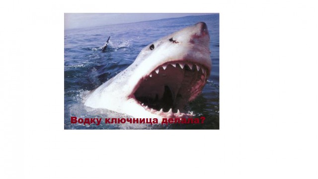 Поймана акула старше Ивана Грозного