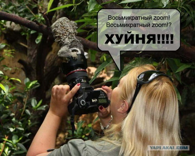 Так где обещаная птичка?