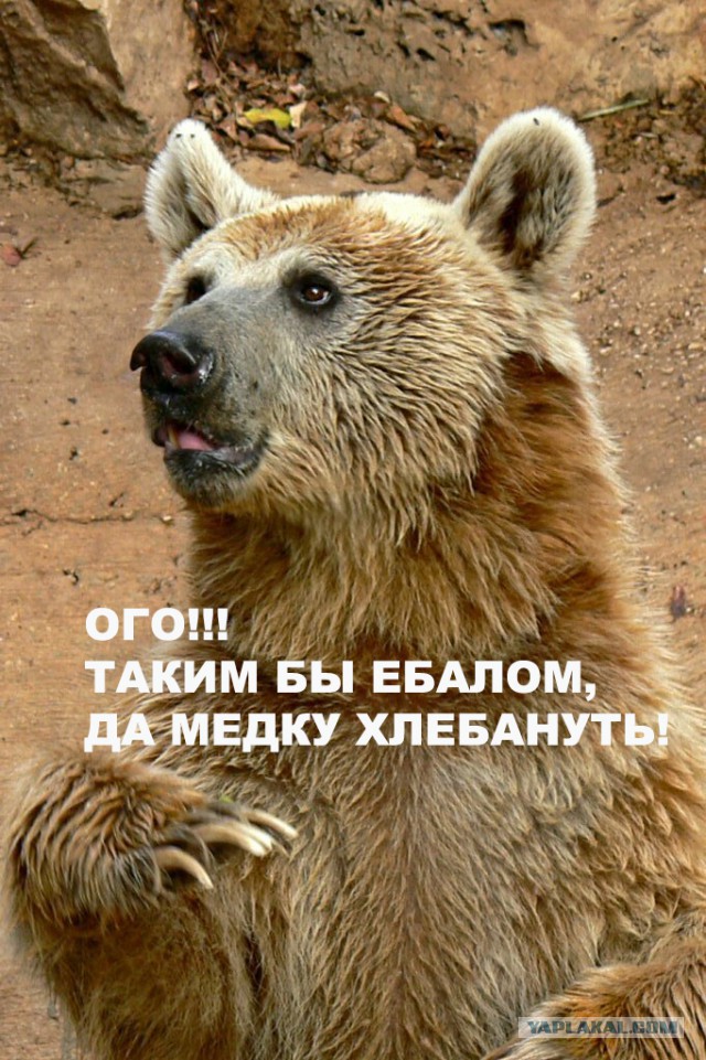 Эксперимент "Вика и ее рот"