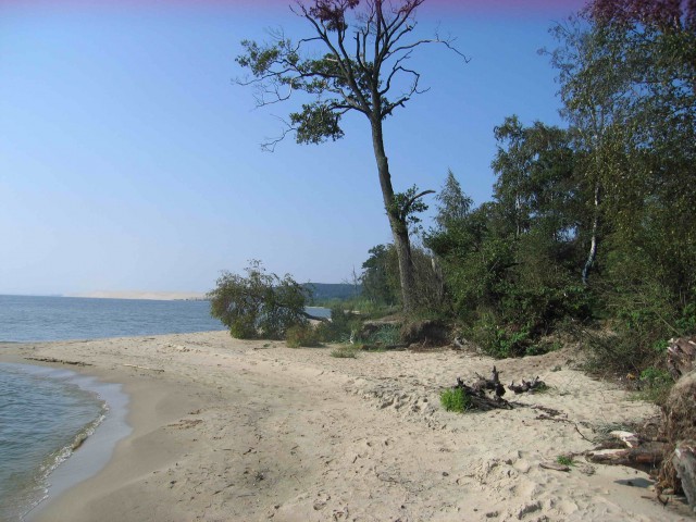 Отпуск в русской Европе или неделя в Калининграде