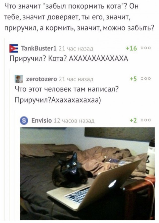 Немного картинок в это воскресенье