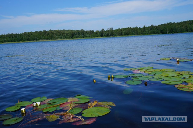 Уральские горы. Фотографии из одиночных походов