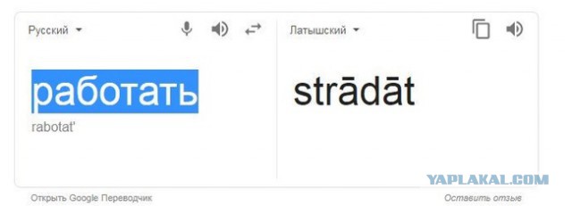 Глава Минздрава заявил, что в селе невозможно жить и работать