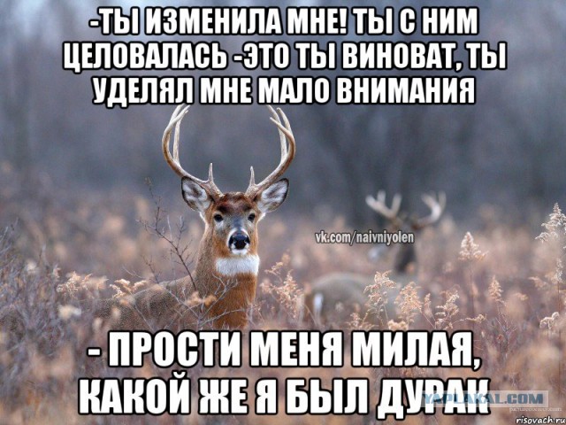Помогите разобраться, жена предала...