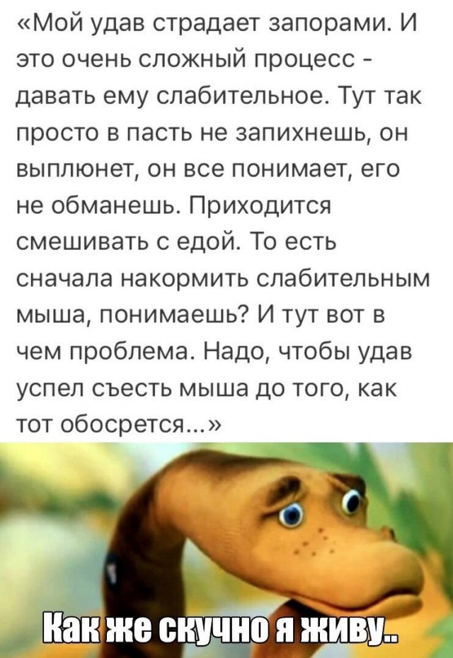 Я отстаю от жизни