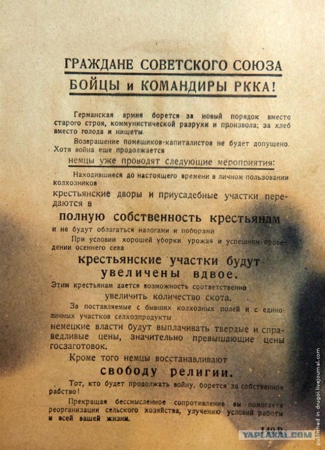 Кто готов пойти на войну защищать родину?