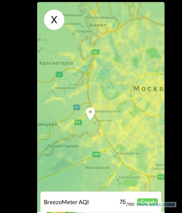 Я живу в эпицентре экологической катастрофы