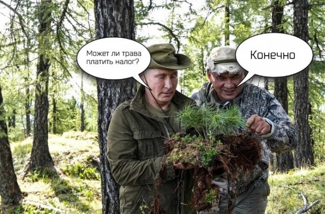 Путин с Шойгу воссоздали кадр из Горбатой горы и другие шутки пользователей