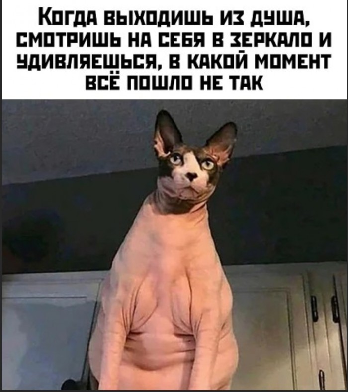 Бредзона