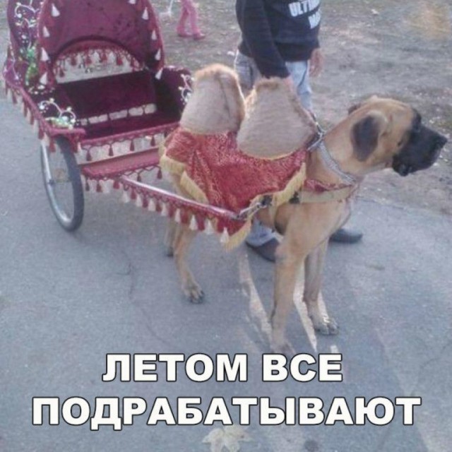 Поднакопилось чутка картинок и надписей