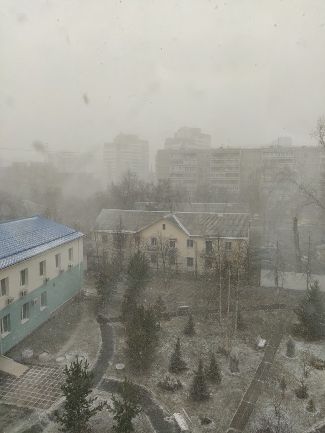 Проснулся сегодня, выглянул в окно - а там все в снегу