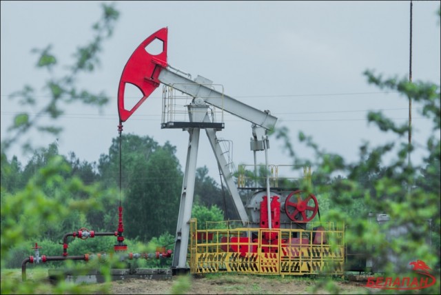 «Белорусский Кувейт»: что нужно знать о добыче нефти на Полесье