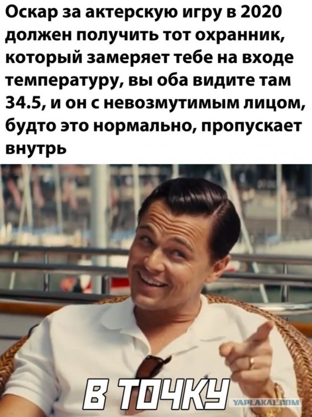 Фотки и картинки: юморные и красивые, забавные и милые 13.11.20