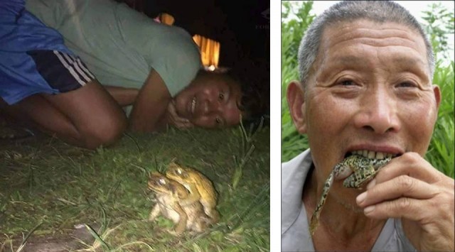 Ну что, пятничная лайтовая Чернушка ждёт вас