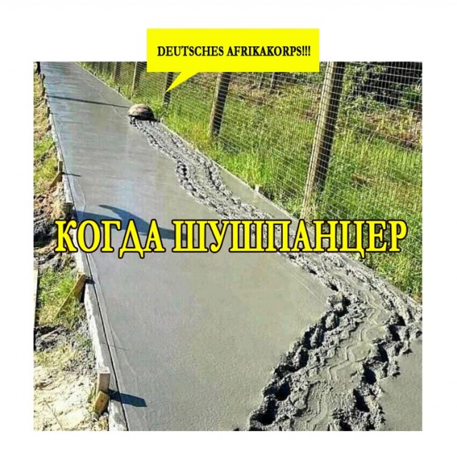 Картинки и мемы для настроения 003