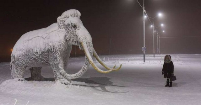 Прикольные и просто красивые картинки 09.02.2021