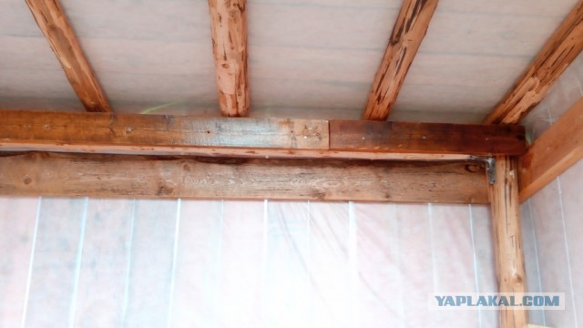 Психанул. Дачный сортир «king size»