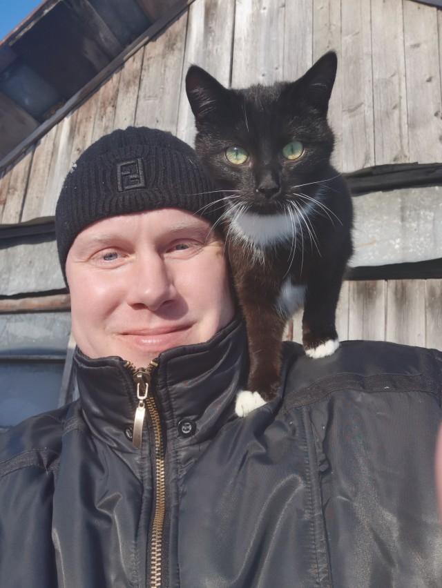 Котовторник же!