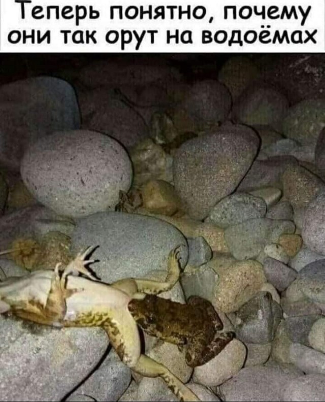 Интимная тема. Про неё