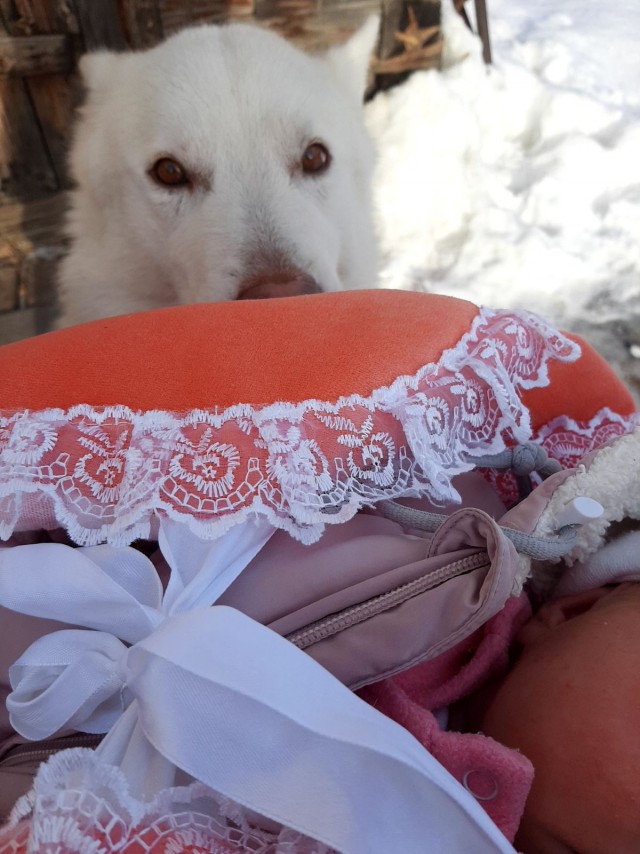 Подборка душевных фотографий, которые восполнят нехватку добра