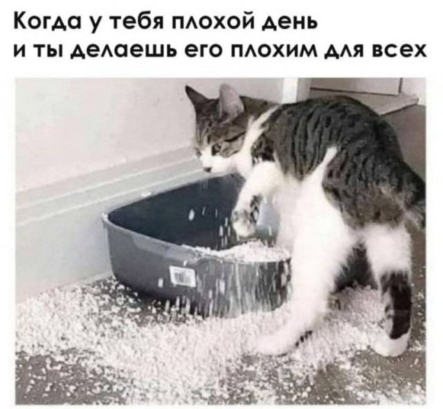 Картинки с надписями и всякие жизненные фразы 27.06.21