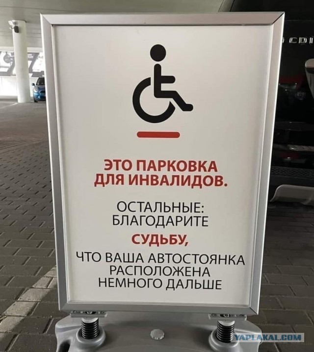 Весёлый полтишок 30.10