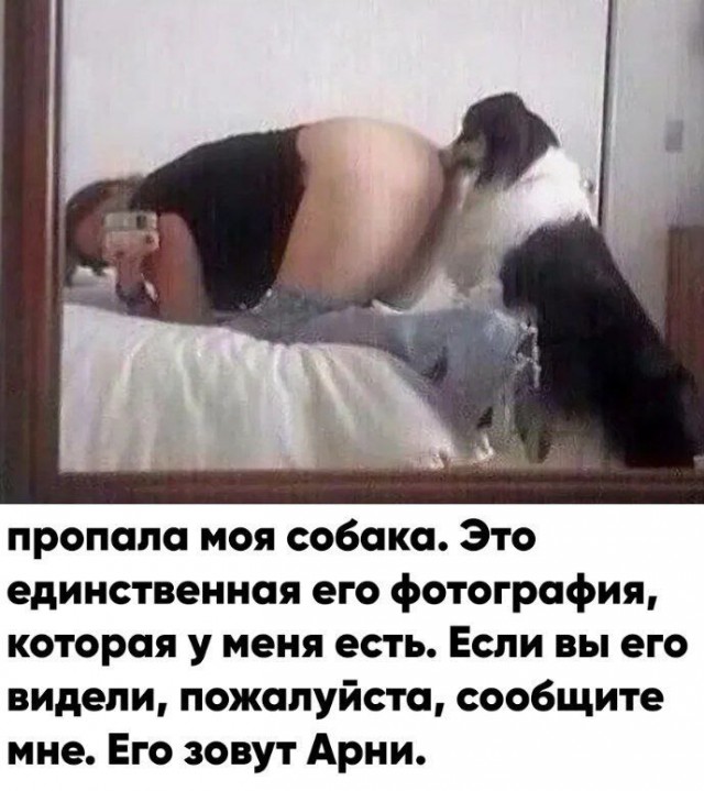 Картинки всякие и аморальные - 15