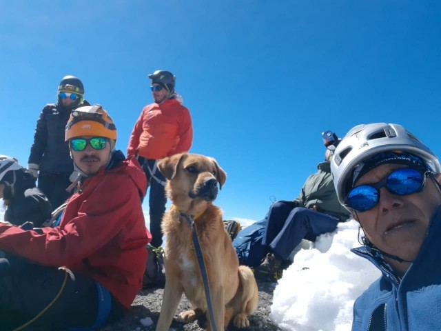 В Мексике команда из 30 альпинистов поднялась на вулкан Орисаба, чтобы спасти пса по кличке Канело