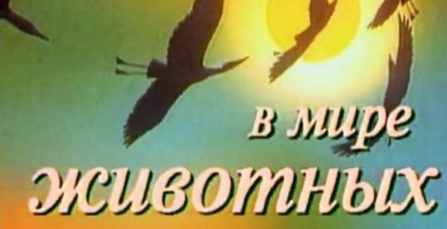 Виртуозная выдрочка