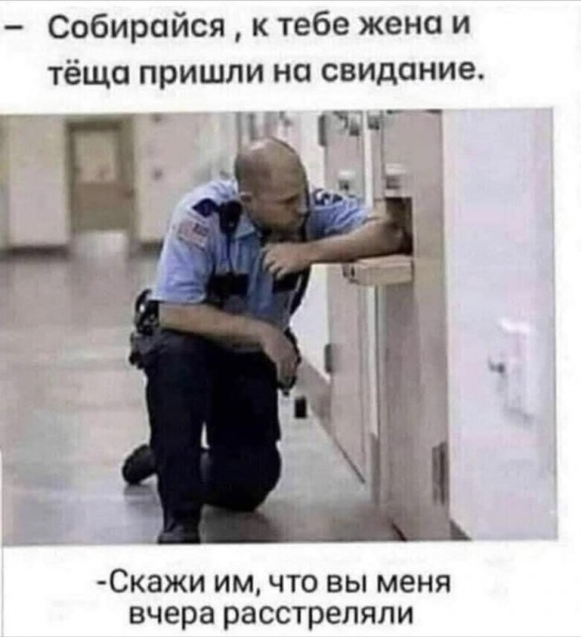Всяческие картинки 29.12.2021