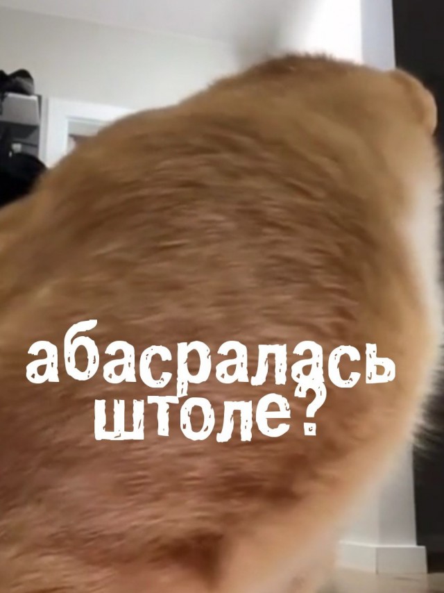 Сейчас мы разучим с вами упражнение, которое я покажу...