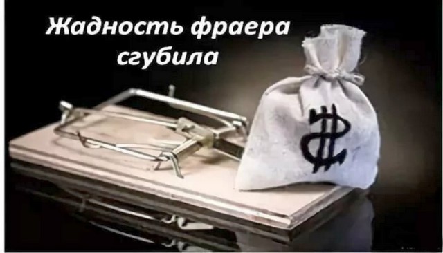 Роскомнадзор решил заблокировать весь Telegram в России из-за поста Readovka о беспределе мигрантов в Калужской области