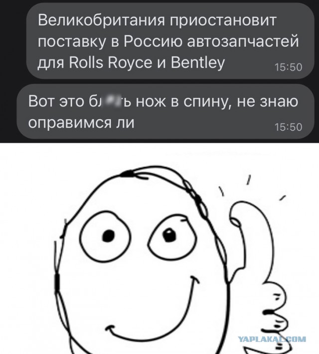 16498564.jpg