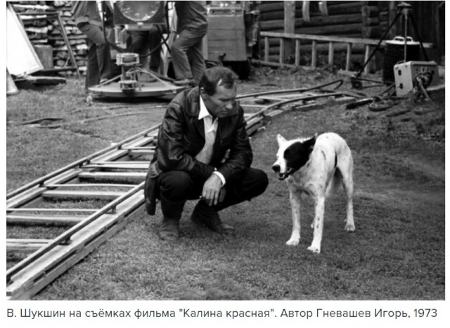 Редкие фотографии знаменитостей