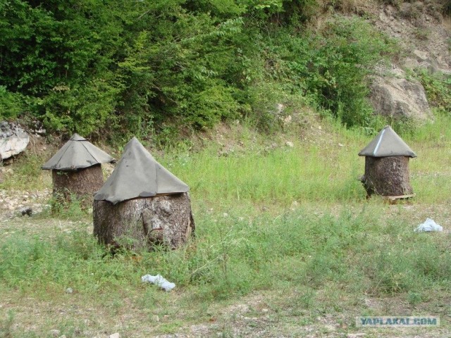 Абхазия-страна души