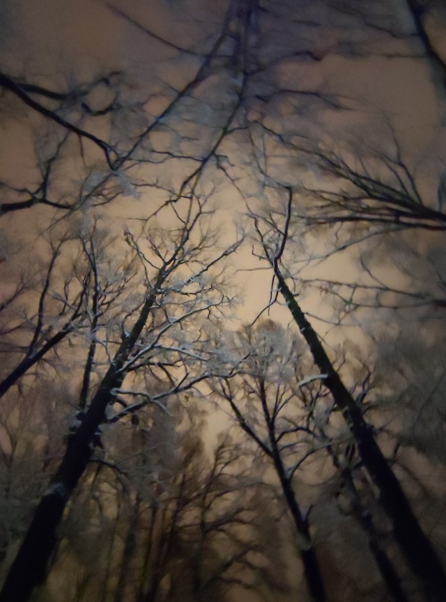 Фотки с телефона.