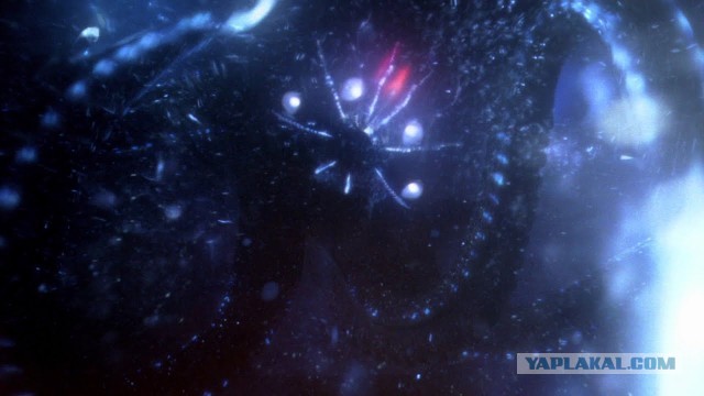 Ученые считают, что в ледяных океанах спутника Юпитера может существовать жизнь