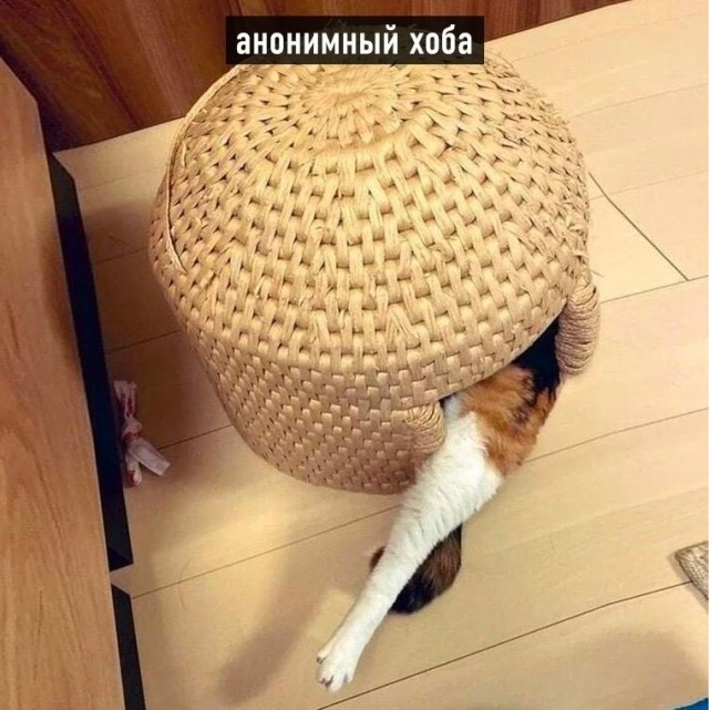 Виды хоба