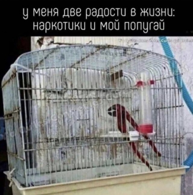 Картинки и мемы для настроения - 27